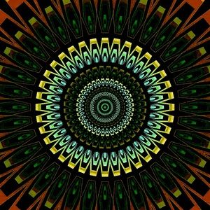 Meet your Posher, skullcap